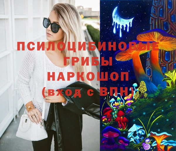 дмт Верея