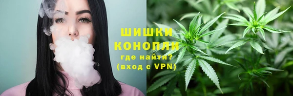 дмт Верея
