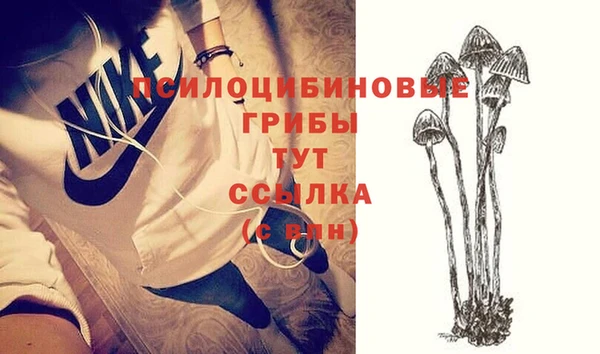 дмт Верея